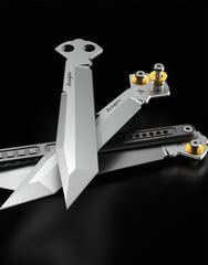 Aragon Trainer with True Edge